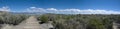 Panoramic view over South Tufa, Mono Lake - California Royalty Free Stock Photo