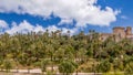 panoramic view of the Palmeral of Elche Royalty Free Stock Photo