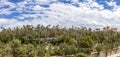 panoramic view of the Palmeral of Elche_2 Royalty Free Stock Photo