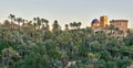 Palmeral of Elche and view of the Altamira castle and the blue dome of the Santa MarÃÂ­a basilica, located in Royalty Free Stock Photo