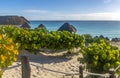 Panoramic view of a paradisiacal beach of Playa Dolphin in Cancun city (Mexico). Royalty Free Stock Photo