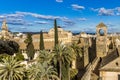 Panoramic view of a part of the city of Cordoba with palm trees and a tower of a church