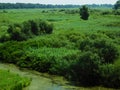 Panoramic view of part of Obedska pond