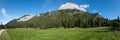 panoramic view of peak Muran at National Park Belianske Tatras with a meadow and forest, Slovakia