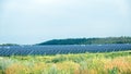 Panoramic view of photovoltaic power station, solar park, solar farm, solar power plant. Banner with modern solar farm Royalty Free Stock Photo