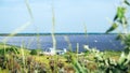 Panoramic view of photovoltaic power station, solar park, solar farm, solar power plant. Banner with modern solar farm Royalty Free Stock Photo