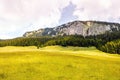 Panoramic view - Piatra Craiului Mountains, Romania Royalty Free Stock Photo
