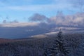 Panoramic view at pine forest against cloudy sky at sunset Royalty Free Stock Photo