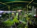 Panoramic 360 view of a plant nursery greenhouse in nighttime Royalty Free Stock Photo