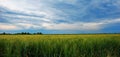 Panoramic view of Po Valley, Pianura Padana, Italy Royalty Free Stock Photo