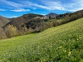 Panoramic view of Poggiodomo in Umbria with the beautiful flowering of Narcisus Royalty Free Stock Photo