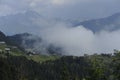 Panoramic view of Pokut plateau in blacksea karadeniz, Rize, Turkey. Tree, grass