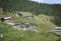 Panoramic view of Pokut plateau in blacksea karadeniz, Rize, Turkey. Tree, grass