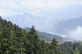 Panoramic view of Pokut plateau in blacksea karadeniz, Rize, Turkey. Tree, grass