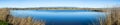 Panoramic view of a pond surrounded by tule reeds and cattail Royalty Free Stock Photo