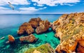 Panoramic view, Ponta da Piedade with seagulls flying over rocks near Lagos in Algarve, Portugal. Cliff rocks, seagulls and Royalty Free Stock Photo