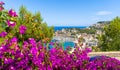 Panoramic view of Port de Soller, Mallorca