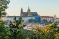 View of the Prague Castle in the sunshine with trees and shrubs in the foreground