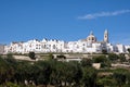 Panoramic view of the pretty town of Locorontondo, Puglia, southern Italy. Photo shows the town at the top of the hill