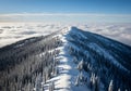 Panoramic View of a Pristine Snow-Covered Mountain Ridge and Forest Emerging from a Vast Sea of Clouds Under a Clear Blue Sky Royalty Free Stock Photo