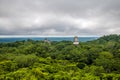 Panoramic view of rainforest and top of mayan temples at Tikal National Park - Guatemala Royalty Free Stock Photo