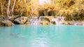 Panoramic view of rainforest waterfall, Tat Kuang Si Waterfall at Luang Prabang, Loas Royalty Free Stock Photo