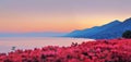 Panoramic view of Recco with pink sunset Royalty Free Stock Photo