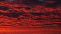 Panoramic view of red evening sky. Colorful cloudy sky at sunset. Sky texture, abstract nature background Royalty Free Stock Photo