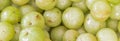 Panoramic view ripe organic Indian gooseberries background top view