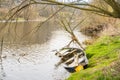 Panoramic view of river with emerald water and boats in the early spring Royalty Free Stock Photo