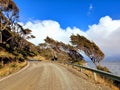 Panoramic view of road in sharp curve, trees overcome by the wind, cloudy sky and gray sea of Tierra de Fuego Argentina. Royalty Free Stock Photo