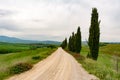 Panoramic view of a road in Val d'Orcia Royalty Free Stock Photo
