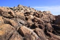 Bushwalking at Yallingup Canal Rocks Western Australia