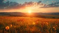 A panoramic view of rolling hills under a dynamic sky Royalty Free Stock Photo