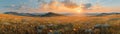 A panoramic view of rolling hills under a dynamic sky Royalty Free Stock Photo