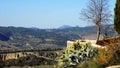 Panoramic view-Ronda- ANDALUSIA-SPAIN Royalty Free Stock Photo