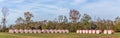 Panoramic View of a Row of Cotton Bails