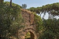 Panoramic view of ruins in Palatine Hill in city of Rome, Italy Royalty Free Stock Photo