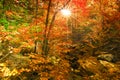 Panoramic view of rural Vermont in autumn time. Royalty Free Stock Photo