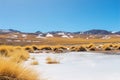 Panoramic view of Ruta de los Seismiles, Catamarca, Argentina