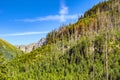 Panoramic view of the Rybi Potok Valley - Dolina Rybiego potoku - with forest covering slopes of  Siedem Granatow ridge in Tatra Royalty Free Stock Photo