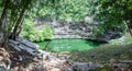 Sacred cenote at Chichen Itza, Yucatan, Mexico