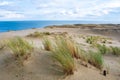 Panoramic view of sand dunes in Nida, Klaipeda, Lithuania, Europe Royalty Free Stock Photo