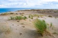 Panoramic view of sand dunes in Nida, Klaipeda, Lithuania, Europe Royalty Free Stock Photo