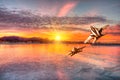 Panoramic view of Santa Monica at sunset