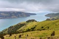 Panoramic view of scenic Banks Peninsula, famous for its bays, in Canterbury Royalty Free Stock Photo
