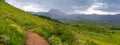 Panoramic view of scenic Colorado landscape of wildflowers meadow along Brush creek trail