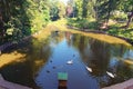 Panoramic view of scenic lake with white swans and ducks near famous Chinese Bridge in The Arboretum Oleksandriya