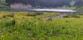 Panoramic view of scenic wildflower meadow in Colorado rocky mountains Royalty Free Stock Photo