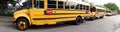 Panoramic view of school buses Royalty Free Stock Photo